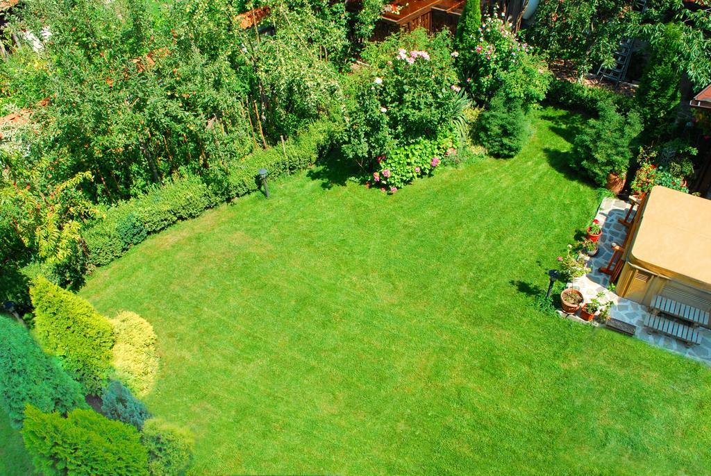 Guest House Chicho Tsane Bansko Extérieur photo